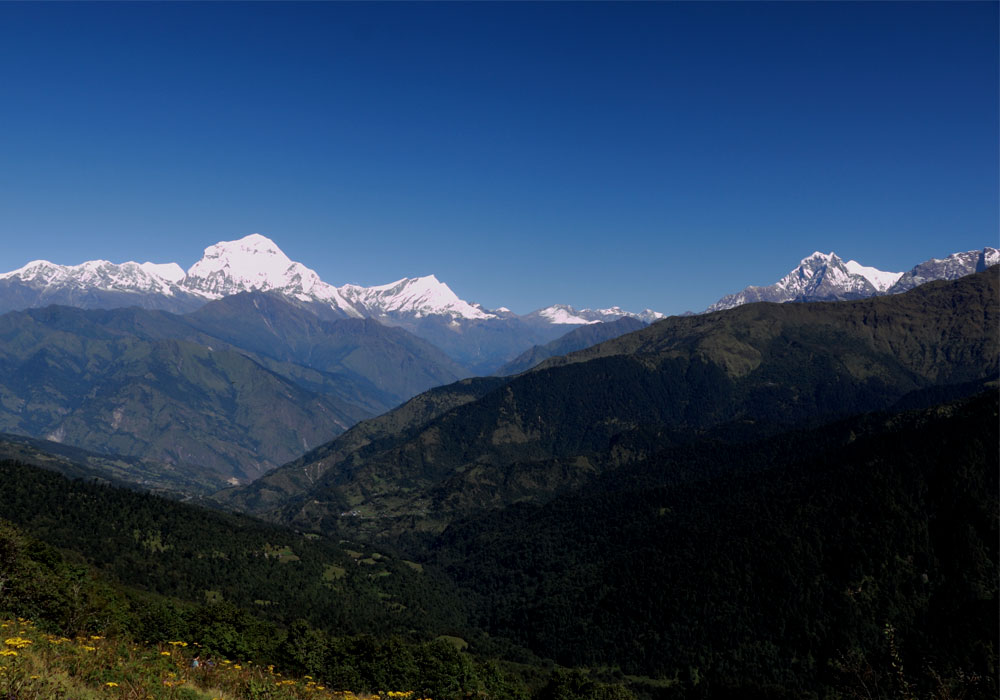 Poon hill trek highlights