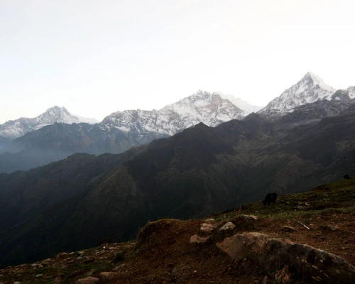 Annapunra And Nilgiri View From Khopra Danda