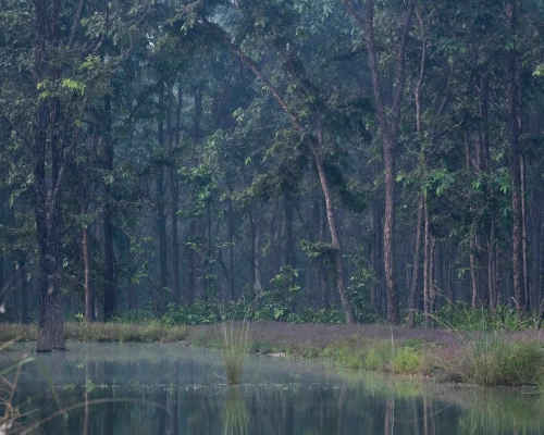 Bardia National Park