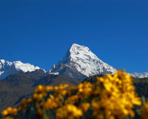 Ghorepani Poonhill Trek Days