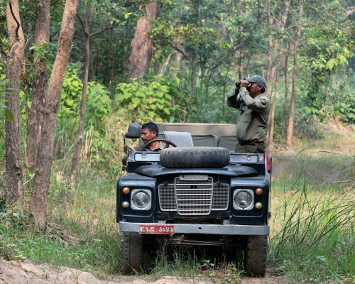 Jeep Safari Bardiya 