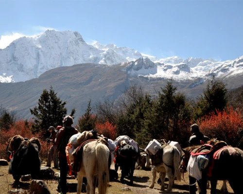 Manaslu Circuit Trekking