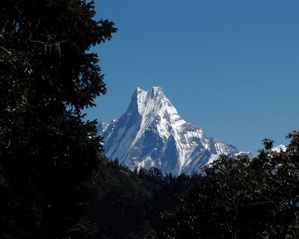 Poon hill Trek